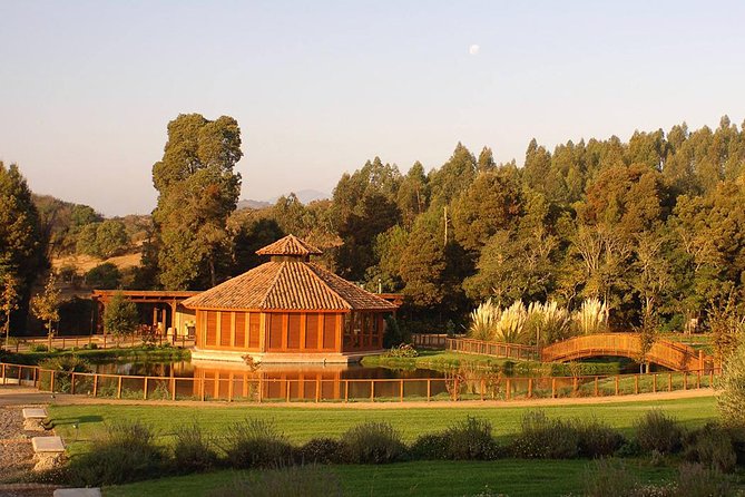 Small-Group Tour at Matetic Vineyard in Rosario Valley from Santiago - Key things to know before you go