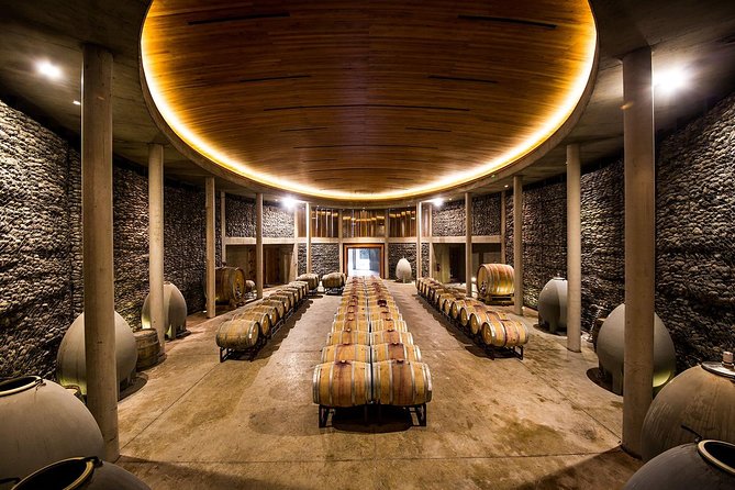 Small-Group Tour at Matetic Vineyard in Rosario Valley from Santiago - The tour highlights: cellar start, aging room, tank room, then back to the view