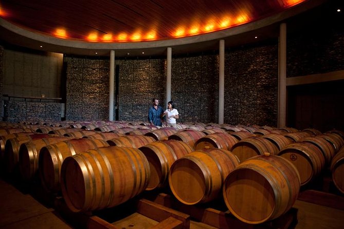 Small-Group Tour at Matetic Vineyard in Rosario Valley from Santiago - Wine tasting with a choice: 2 wines or 4 wines plus snacks