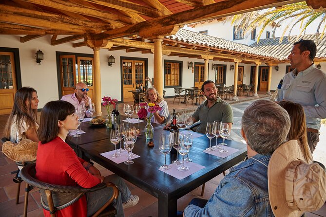 Small Group Wines and Flavours Guided Walking Tour - Price and value: $28.21 for three wines plus food