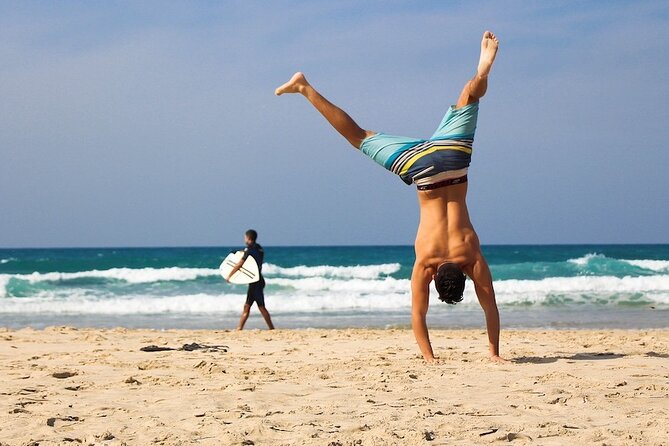Southcoast - Private Full-Day tour - Price and value: what $430 per group really buys