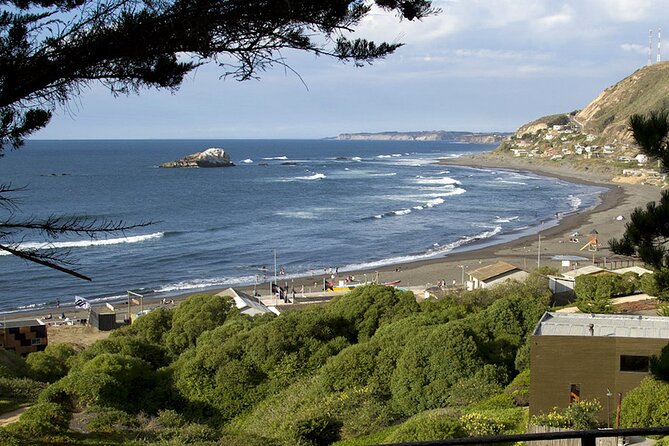 Southcoast - Private Full-Day tour - Matanzas surf town lunch, beach free time, and trying it if you want