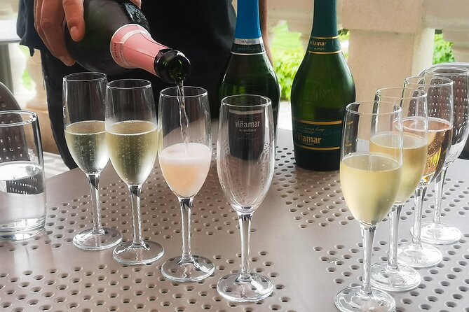 Sparkling Wine Tour and Premium Tasting with Private Transport - Key highlights before you go