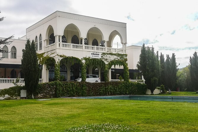 Sparkling Wine Tour and Premium Tasting with Private Transport - A half-day private sparkling wine trip from Santiago