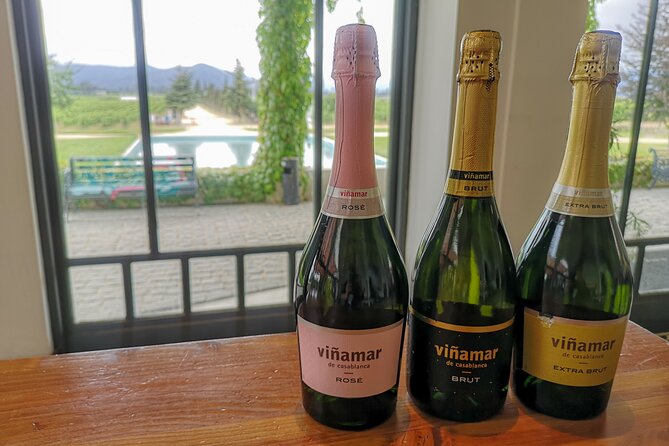 Sparkling Wine Tour and Premium Tasting with Private Transport - Practical tips to get the most from your Vinamar tasting