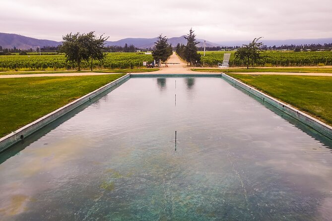 Sparkling Wine Tour and Premium Tasting with Private Transport - Casablanca Valley market stop: tastings, lapis lazuli, and llama feeding