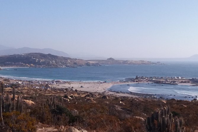 Spas and Beaches Tour: La Herradura -Totoralillo - Guanaqueros -Tongoy - Stop 3: Tongoy’s Wetlands, Guaicurú, Reed, and Oyster Culture