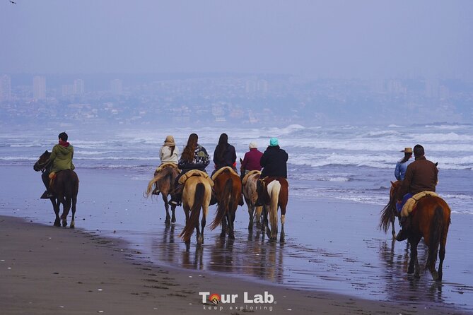 Sunset Horseback Ride on Ritoque Dunes & Beach +BBQ All-Inclusive - Key things to know before you saddle up