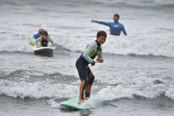 Surfing, Sandboarding & wild Sea lions + Chilean drinks & food - From Valparaíso to Concon, You Get More Than Just Sports