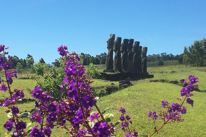 T2-THE MUST-HAVES OF RAPA NUI (non-cruise visitors) - Stop 2: Rano Kau, a crater panorama that includes no extra ticket