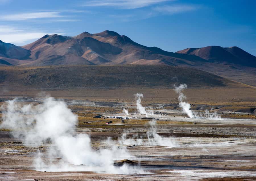 Tatio Gayser - Tour : San Pedro de Atacama - Chile - Geothermal energy and local flora, explained by Alfredo and Felipe