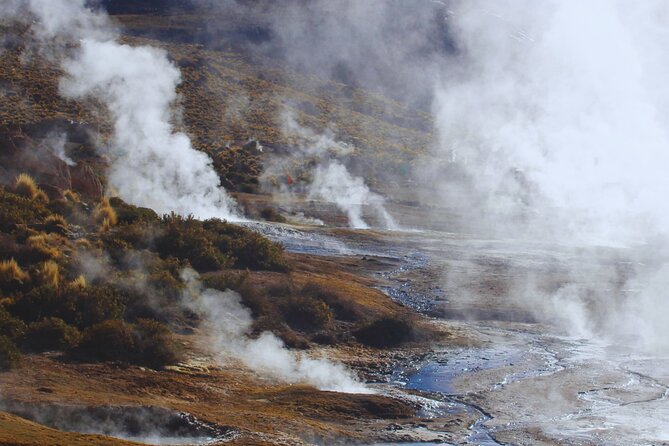 Tatio Geysers Tour with Breakfast and Flamenco Watching - Why a 4:30am departure makes the Tatio experience work