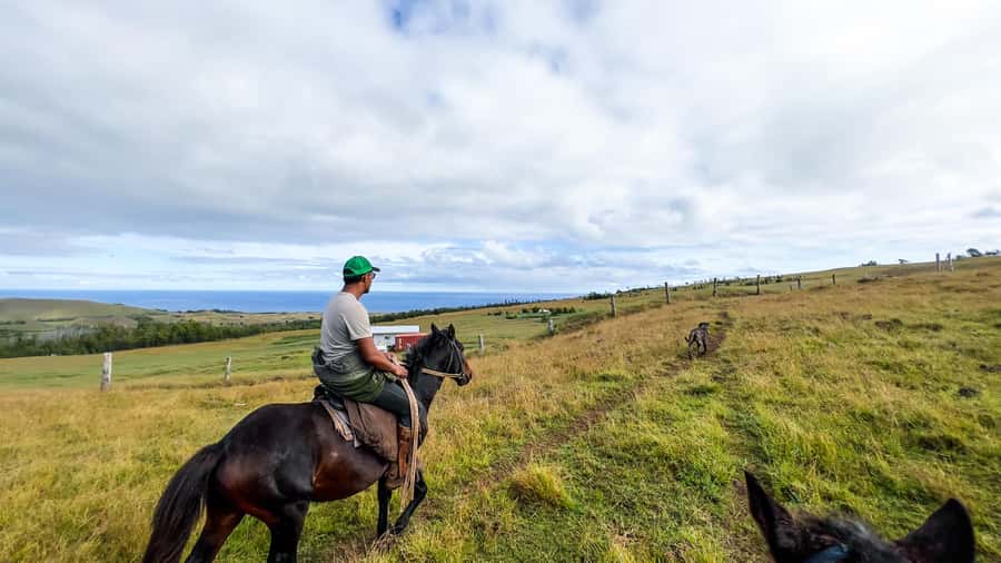 Terevaka Horse Excursion: The highest point and 360° view. - Key Things to Know Before You Ride Terevaka