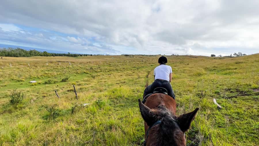 Terevaka Horse Excursion: The highest point and 360° view. - Why Terevaka Is Worth the Saddle Time on Easter Island