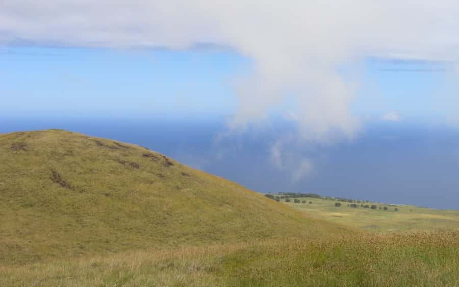 Terevaka Horse Excursion: The highest point and 360° view. - Equipment and Safety: How to Set Yourself Up for an Easy Ride