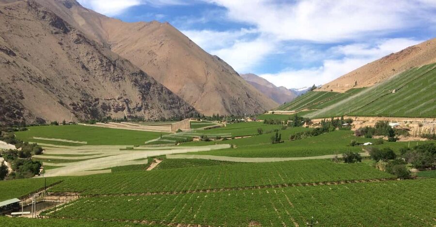 The Magnificient Elqui Valley Grand Tour - Elqui Valley in one day: why this tour feels different
