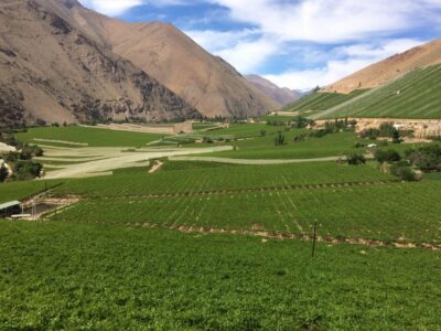 The Magnificient Elqui Valley Grand Tour