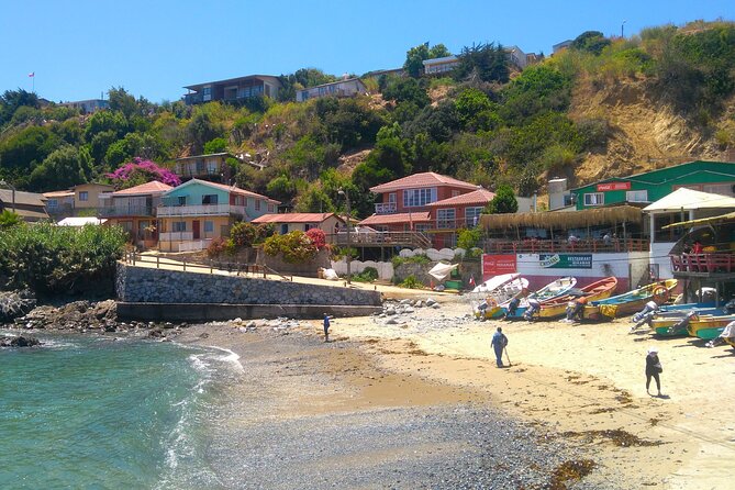 The Poets’ Coastline & the Picturesque Fishing Village of Quintay - A private coast day from Valparaíso (7 to 8 hours)