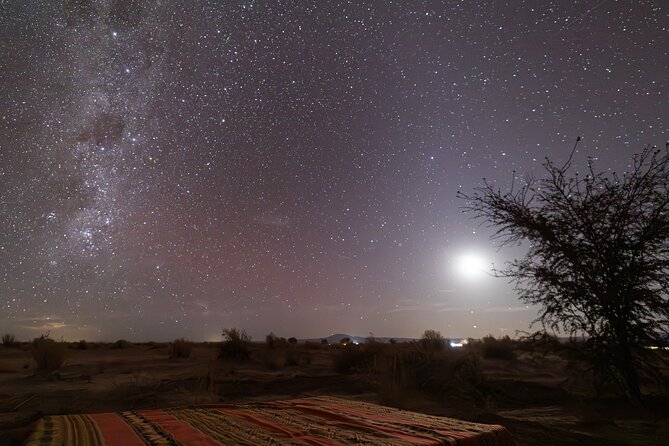 The Roofless Experience San Pedro de Atacama Stargazing Tour - Telescope time at the facility: what “14-inch” means for your view