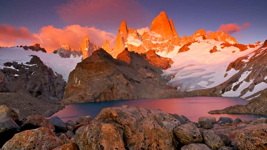 Torres del Paine Day Trip from El Calafate - Laguna Amarga and the Torres panorama: what makes this stop worth the squeeze