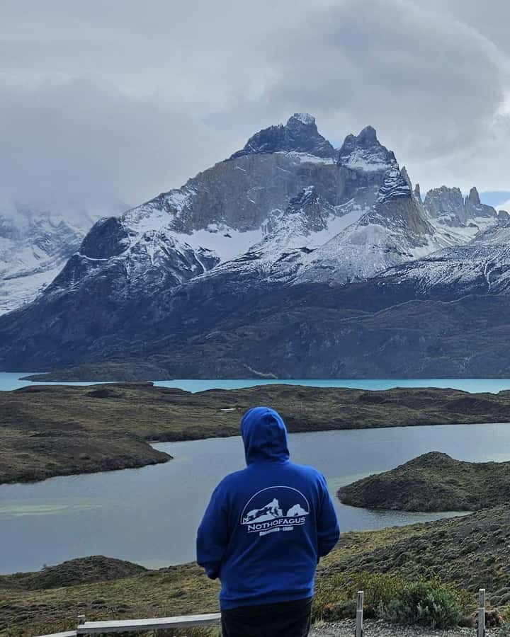 Torres del Paine: Full Day Excursion Torres del Paine + Milodon Cave. - Why Torres del Paine and Milodon Cave in One Day Works