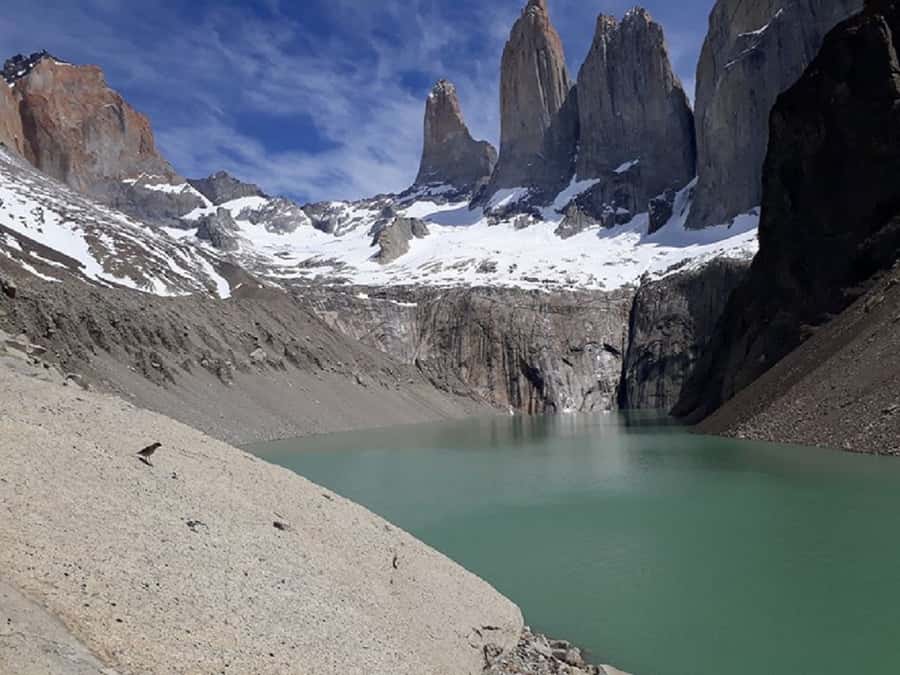 Torres del Paine: Full-Day Trekking Excursion - Why this one-day Torres del Paine trek is such a strong value