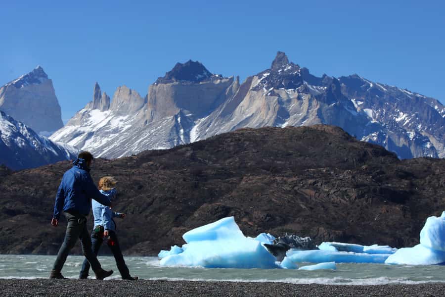 Torres del Paine Park Full-Day Tour from Puerto Natales - Key highlights you will feel fast