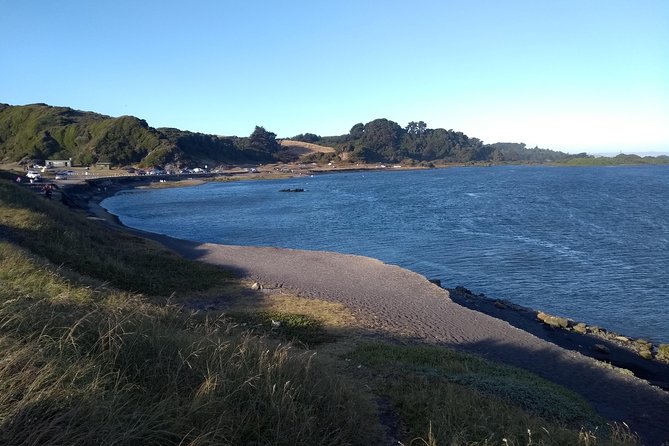 Tour around Biobío River Estuary & Pedro del Río Zañartu Museum - Key highlights worth your time