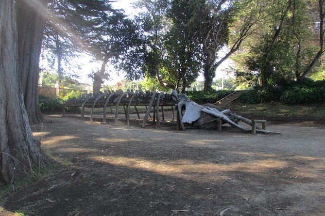 Tour around Biobío River Estuary & Pedro del Río Zañartu Museum - Parque Pedro del Río Zanartu: museum time plus estuary atmosphere