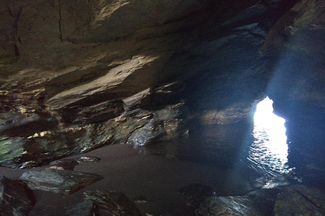 Tour around Biobío River Estuary & Pedro del Río Zañartu Museum - What you should expect at the Biobío River mouth