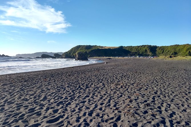 Tour around Biobío River Estuary & Pedro del Río Zañartu Museum - Price and value: what $25.65 gets you in practical terms