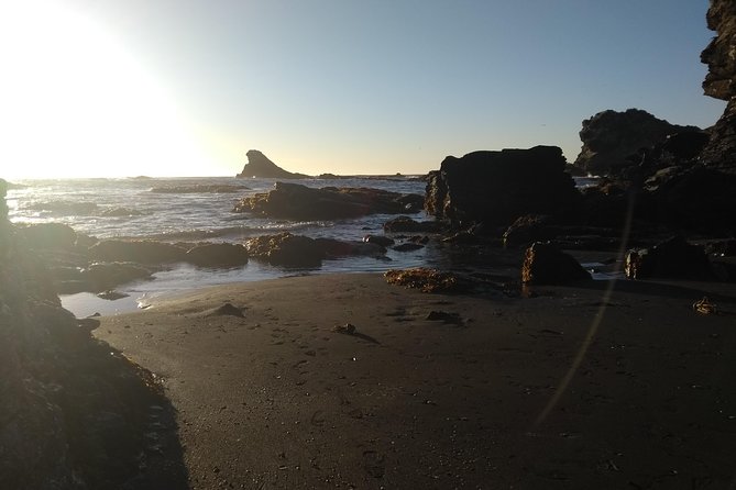 Tour around Biobío River Estuary & Pedro del Río Zañartu Museum - Weather, comfort, and what to bring
