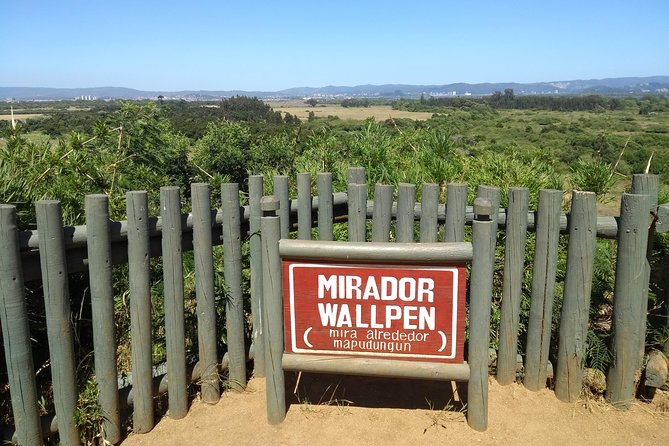 Tour around Biobío River Estuary & Pedro del Río Zañartu Museum - The river mouth outing: Wallpen Viewpoint, Pompón Hill, and Pirate’s Cave