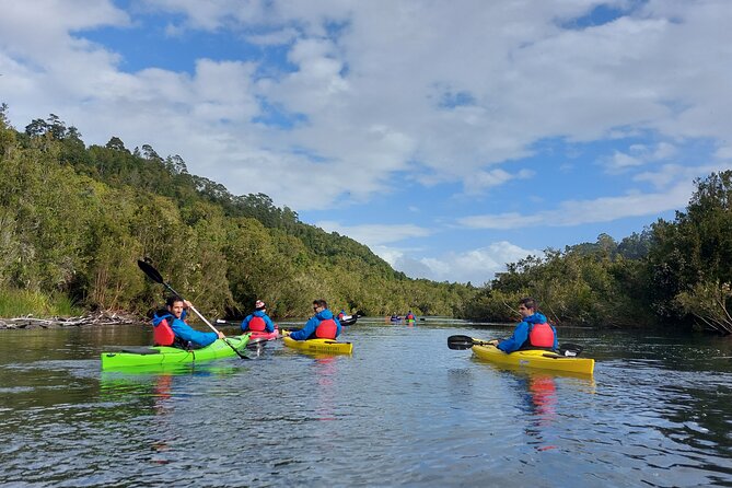 Tour Guiado en Kayak por Rio Maullin / Medío dia en Pto. Varas - Price and value: what $115 gets you in real terms