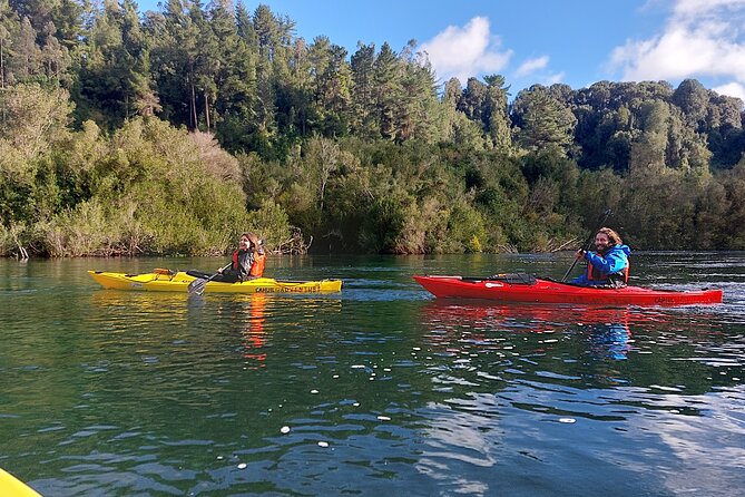 Tour Guiado en Kayak por Rio Maullin / Medío dia en Pto. Varas - Lago Llanquihue time and the Osorno viewpoint