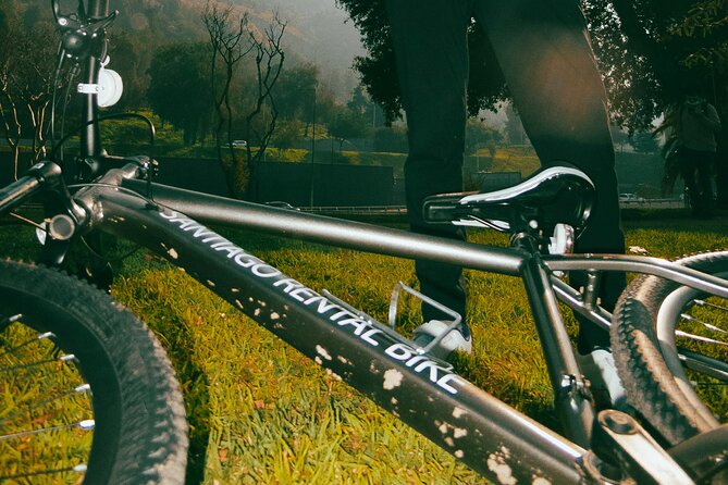 Tour of Santiago by Bicycle - Parque Quinta Normal: museums nearby and a calmer pace