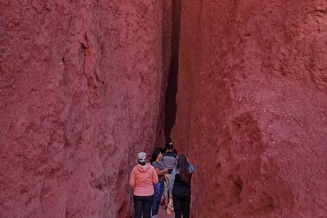 Tour of the Rainbow Valley and Petroglyphs of Yerbas Buenas - Petroglyphs of Yerbas Buenas: adding a human story to the rocks
