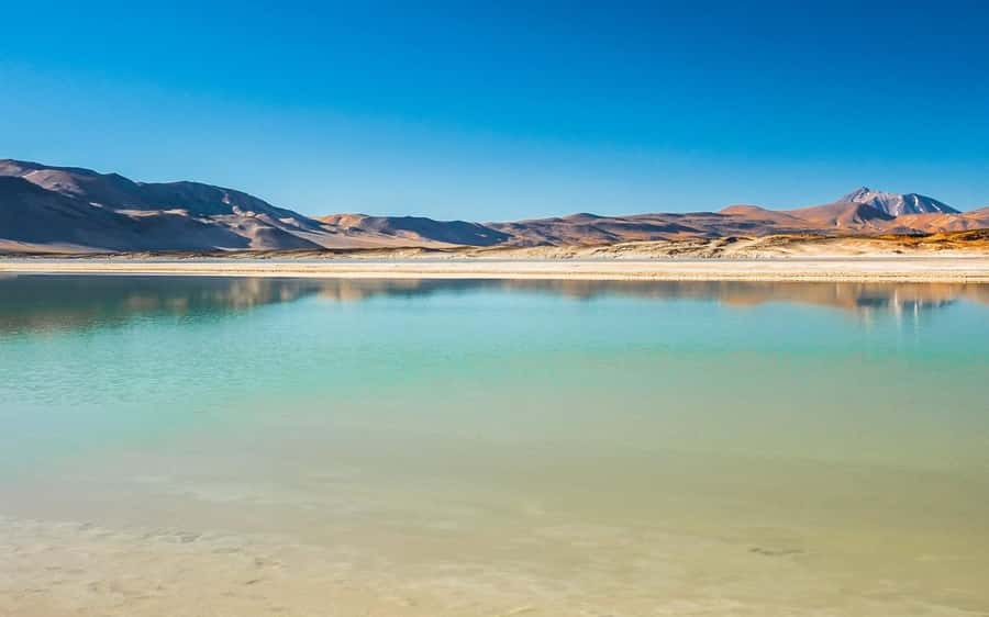 Tour Piedras Rojas + Altiplanic Lagoons + Chaxa Lagoon - Toconao and Socaire, the culture stops that actually help the scenery make sense