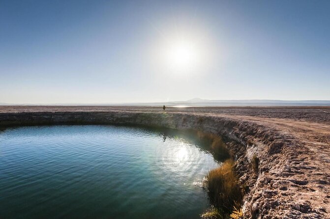 Tour to Laguna Cejar, Ojos del Salar and Laguna Tebinquiche - Key Highlights Before You Go