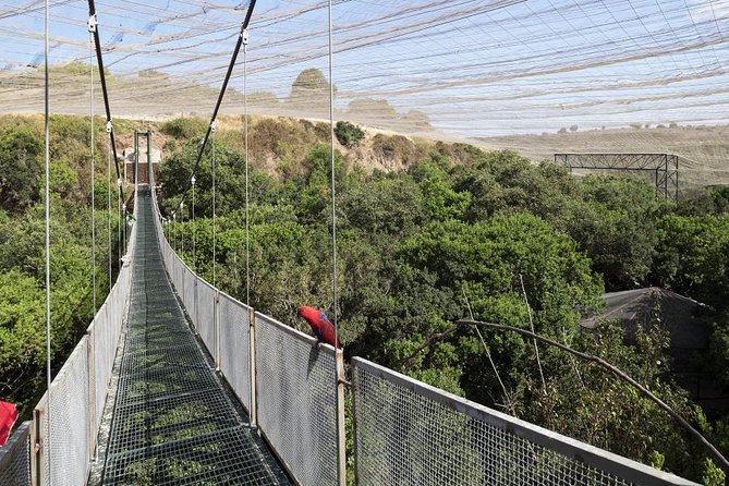 Tour to Parque Tricao + Aviario and Pomaire full day from Santiago - Parque Tricao: 120 Hectares of Native Forest Recovery and Big Views