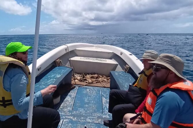Tour to the Motus: Boat trip and snorkeling in Rapa Nui - Captains, guides, and the language reality on the water