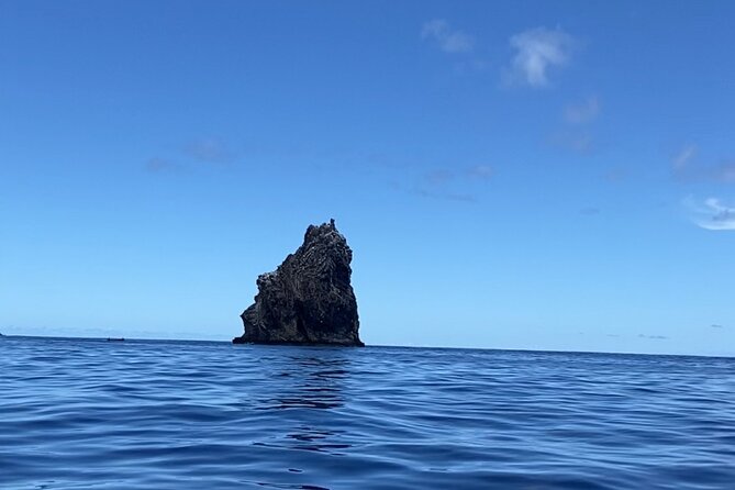Tour to the Motus: Boat trip and snorkeling in Rapa Nui - Should you book Motus: boat trip and snorkeling in Rapa Nui?