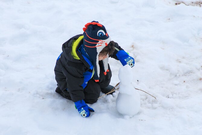 Tour to Valle Nevado - Why a Valle Nevado day trip works from Santiago