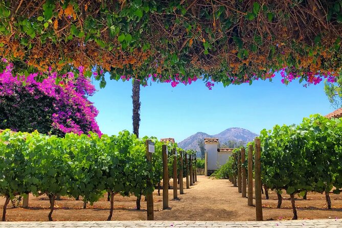 Tour Viña Santa Rita: History, Wine and Picnic Outdoors - Key takeaways before you go