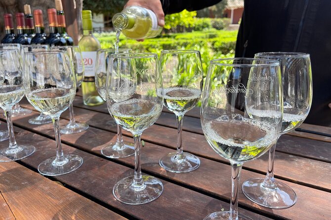 Tour Viña Santa Rita: History, Wine and Picnic Outdoors - Riding back to Santa Rita: red clay roads, fermentation cells, and Bodega 1