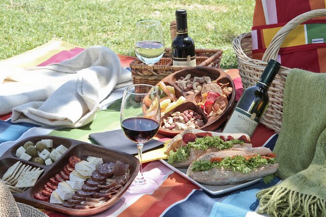 Tour Viña Santa Rita: History, Wine and Picnic Outdoors - The Santa Rita grounds and the Andean Museum with around 3,000 artifacts