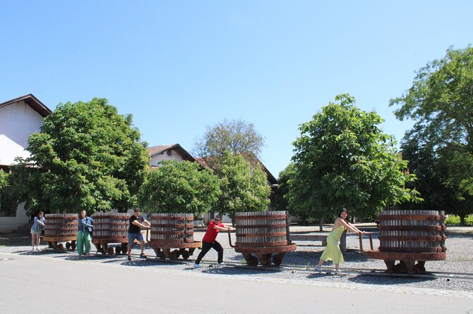 Tour Viña Santa Rita: History, Wine and Picnic Outdoors - Price and value at $123 per person for a 9-hour winery day