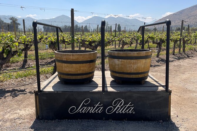Tour Viña Santa Rita: History, Wine and Picnic Outdoors - Carmen Winery and the Carmenere focus, from grape color to production process