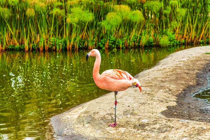 Traditional City Tour - Cerro Santa Lucia: your quick orientation and the big-view payoff