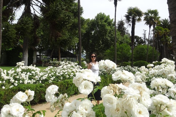 Traditional Undurraga tour - Garden Walk at Undurraga: Global Plants and Grapes Up Front
